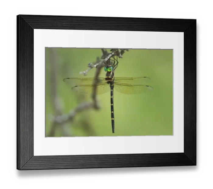 Framed Print : USA, North America, Texas Framed Print : USA, North America, Texas