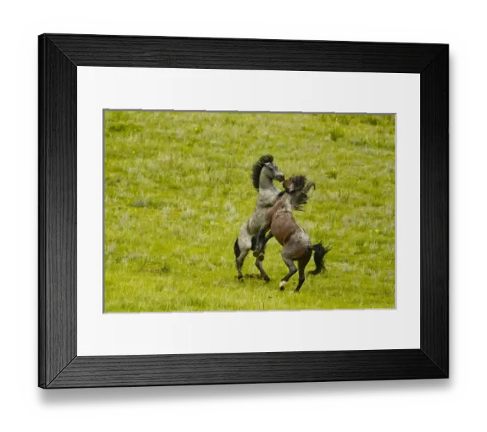 Framed Print : at Theodore Rooosevelt National Park, North Dakota, USA