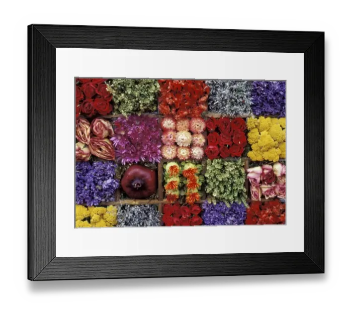 Framed Print : USA, New Mexico, Santa Fe. Flower art by Floramania at Farmers Market Framed Print : USA, New Mexico, Santa Fe. Flower art by Floramania at Farmers Market