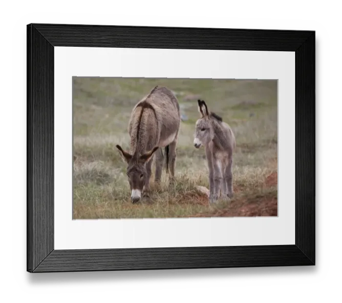 Framed Print : USA, North America, New Mexico