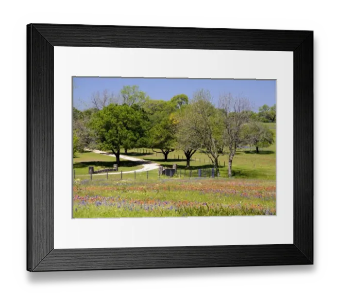 Framed Print : USA, North America, Texas Framed Print : USA, North America, Texas