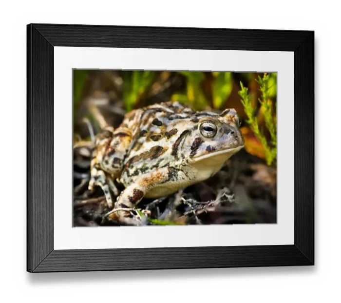 Framed Print : USA, North America, New Jersey