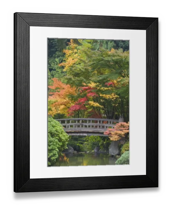Framed Print : USA, North America, Oregon Framed Print : USA, North America, Oregon