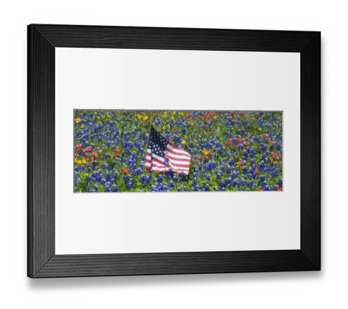 Framed Print : American Flag in field of Blue Bonnets, Paintbrush Texas Hill Country Framed Print : American Flag in field of Blue Bonnets, Paintbrush Texas Hill Country