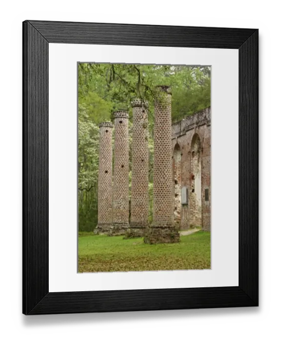 Framed Print : USA, North America, South Carolina