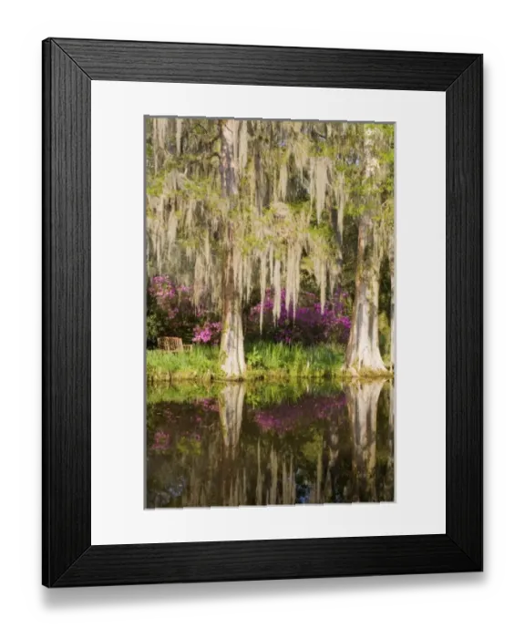 Framed Print : USA, North America, South Carolina Framed Print : USA, North America, South Carolina