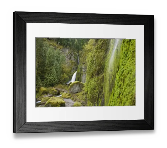 Framed Print : USA, North America, Oregon