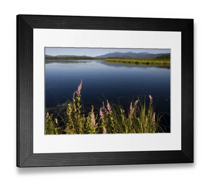 Framed Print : Big Cherry Pond and the Presidential Range in Jefferson, New Hampshire. Pondicherry Framed Print : Big Cherry Pond and the Presidential Range in Jefferson, New Hampshire. Pondicherry