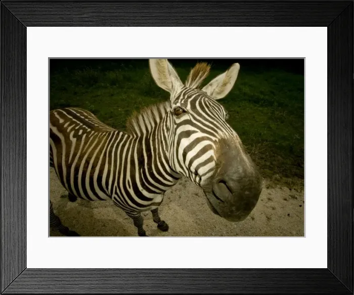 Framed Print : USA, North America, Texas Framed Print : USA, North America, Texas