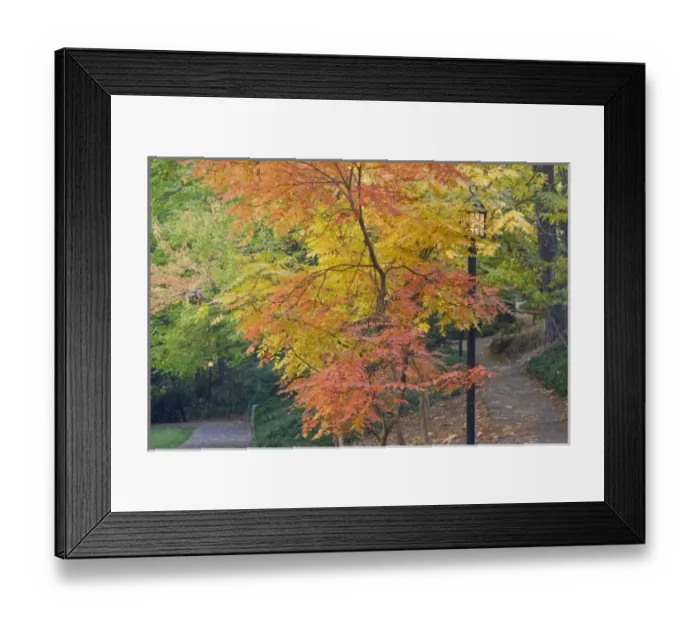 Framed Print : USA, North America, Oregon Framed Print : USA, North America, Oregon