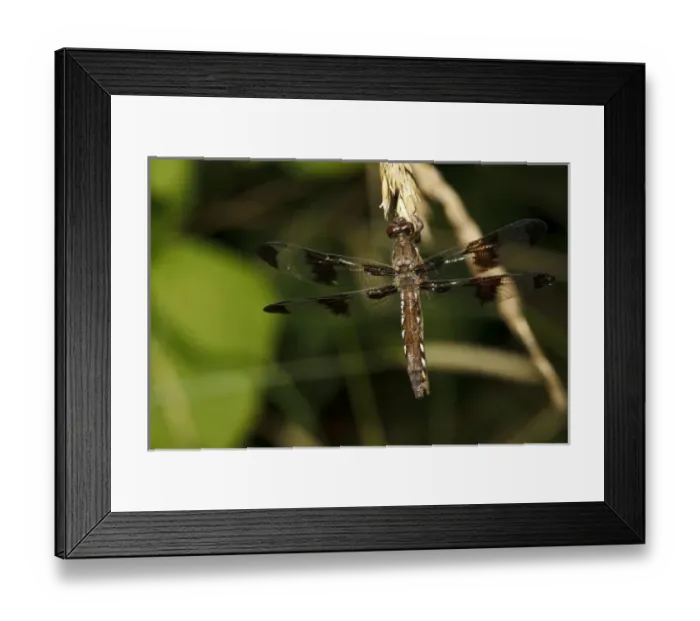 Framed Print : USA, North America, Oregon Framed Print : USA, North America, Oregon
