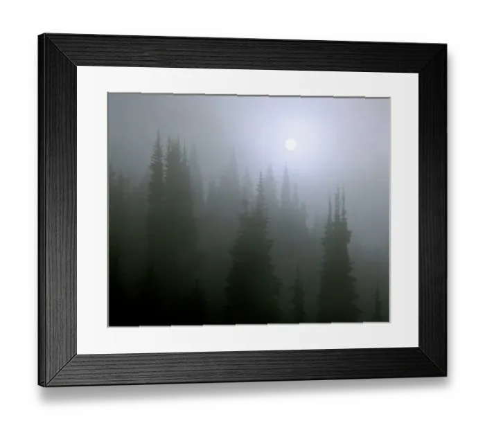 Framed Print : USA, Oregon, Cascades Range. The sun breaks through the fog in the forest in the Cascades Range