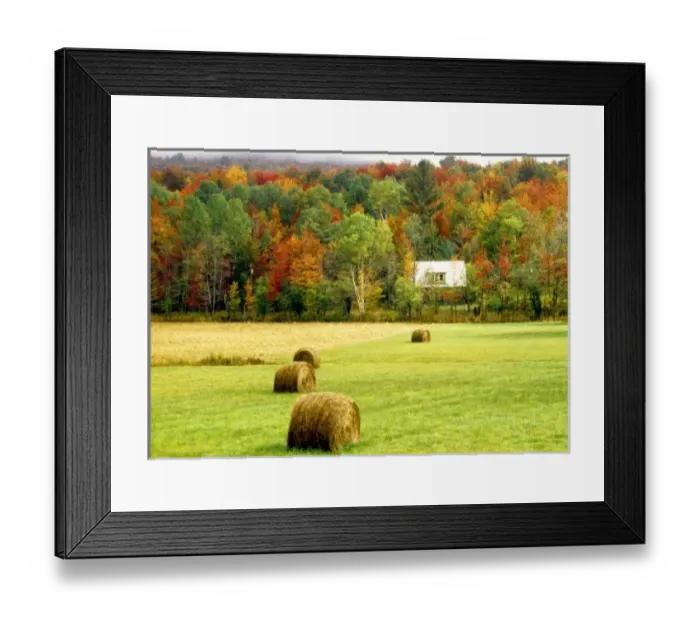 Framed Print : USA, North America, Virginia Framed Print : USA, North America, Virginia