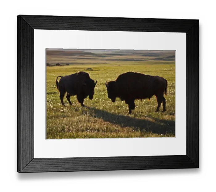 Framed Print : USA, North America, North Dakota Framed Print : USA, North America, North Dakota