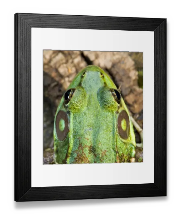 Framed Print : USA, North America, New Jersey Framed Print : USA, North America, New Jersey