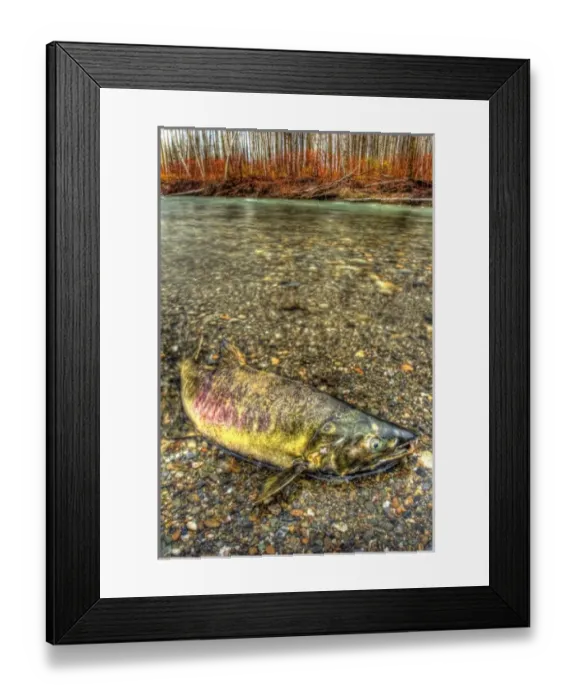 Framed Print : USA, North America, Washington