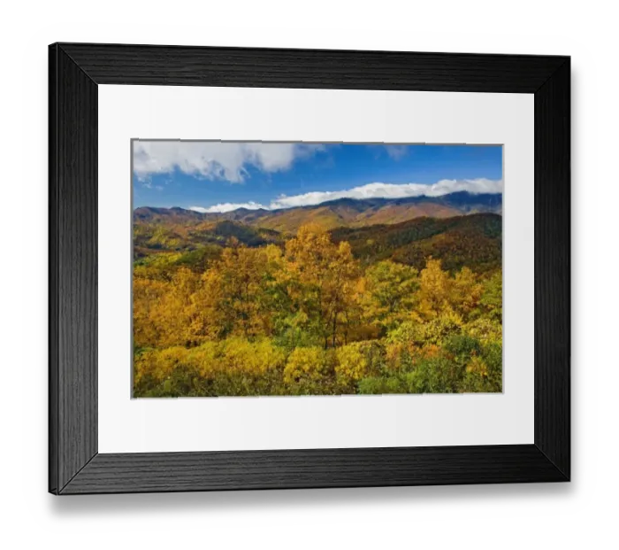 Framed Print : Autumn view of Southern Appalachian Mountains from Blue Ridge Parkway, near Grandfather Mountain Framed Print : Autumn view of Southern Appalachian Mountains from Blue Ridge Parkway, near Grandfather Mountain