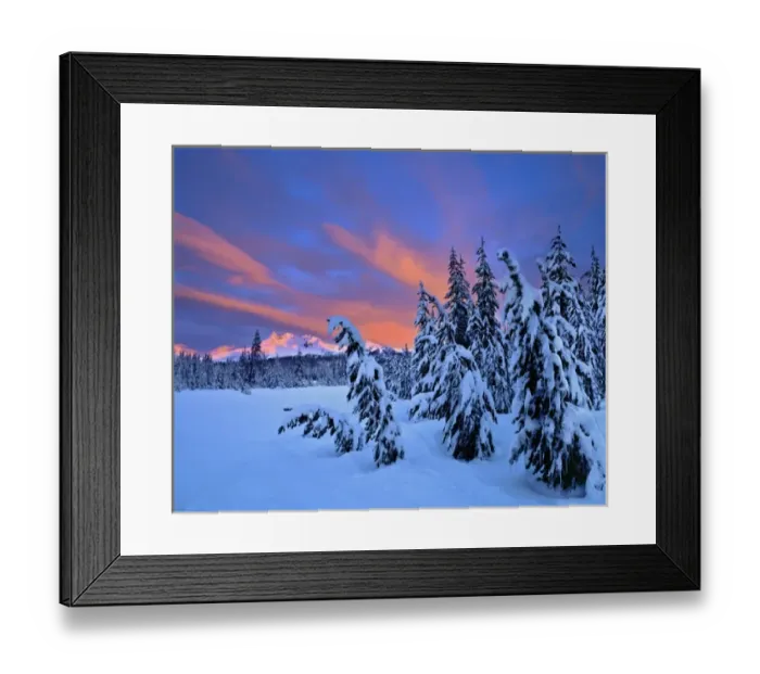Framed Print : USA, Oregon, Broken Top. Early light on Broken Top exposes the snow-laden trees in Framed Print : USA, Oregon, Broken Top. Early light on Broken Top exposes the snow-laden trees in