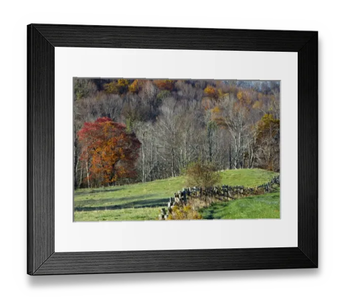 Framed Print : USA, North America, North Carolina Framed Print : USA, North America, North Carolina