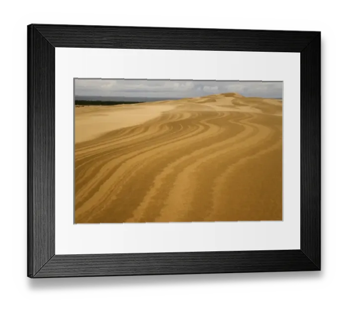 Framed Print : USA, Oregon, Siuslaw National Forest, Umpqua Dunes. Wavy patterns in sand dunes