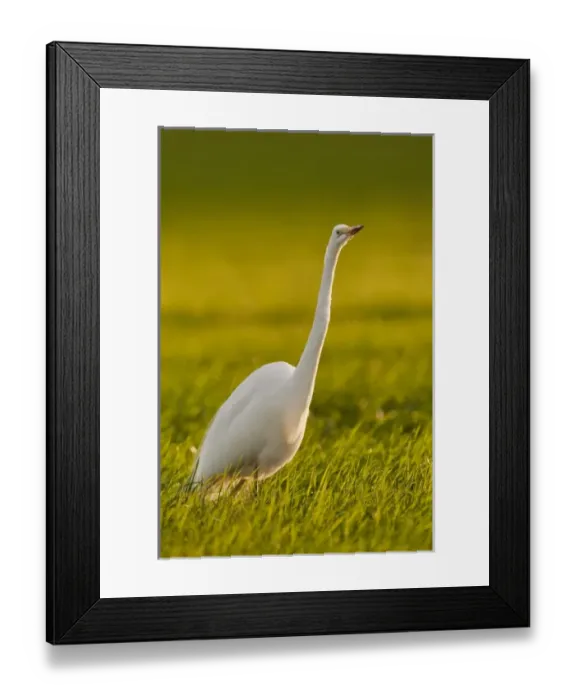 Framed Print : USA, North America, Oregon Framed Print : USA, North America, Oregon