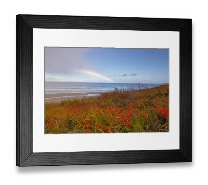 Framed Print : Large rainbow over the Pacific Ocean at Newport, Oregon, USA Framed Print : Large rainbow over the Pacific Ocean at Newport, Oregon, USA