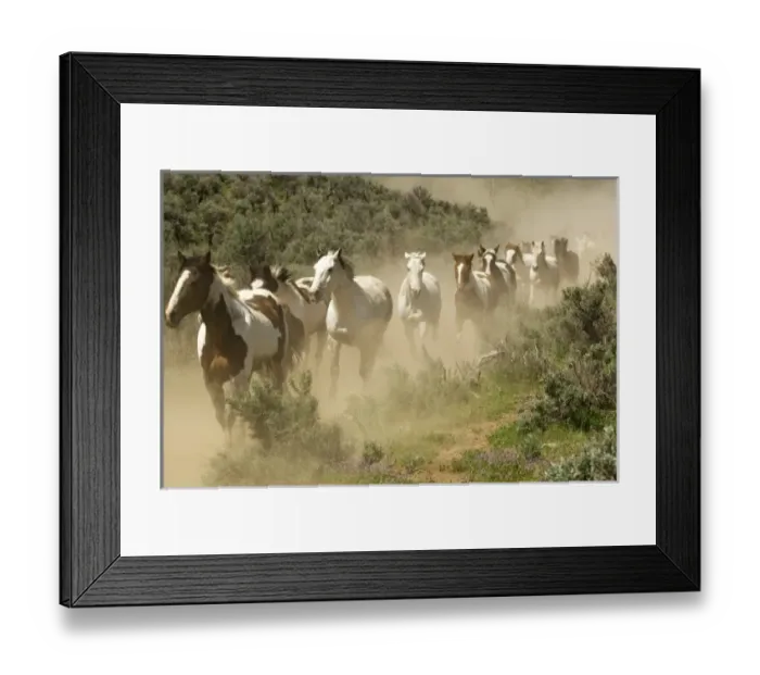 Framed Print : USA, North America, Washington Framed Print : USA, North America, Washington