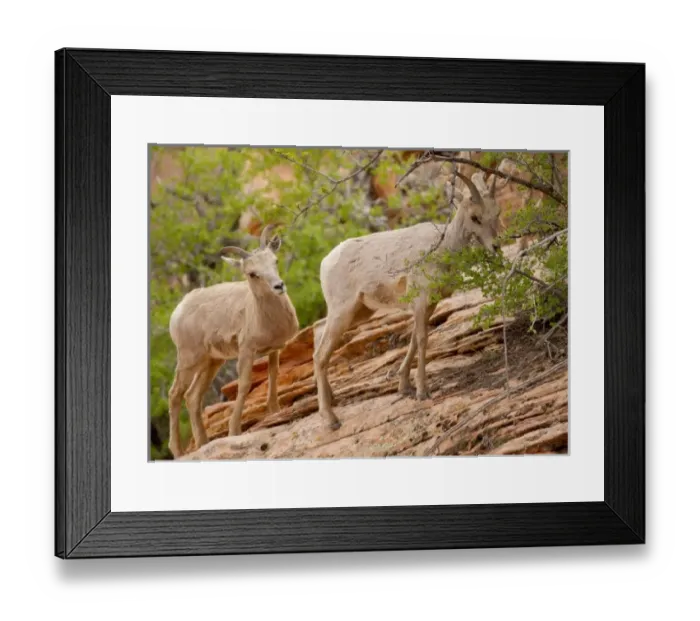 Framed Print : USA, North America, Utah Framed Print : USA, North America, Utah