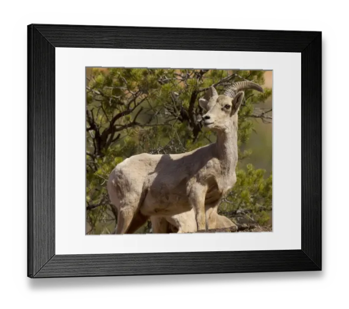 Framed Print : USA, North America, Utah Framed Print : USA, North America, Utah