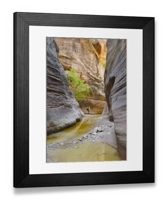 Framed Print : USA, North America, Utah