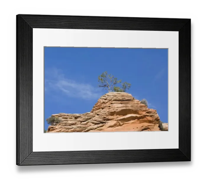 Framed Print : USA, Utah, Zion NP, Red Rock Tree Framed Print : USA, Utah, Zion NP, Red Rock Tree