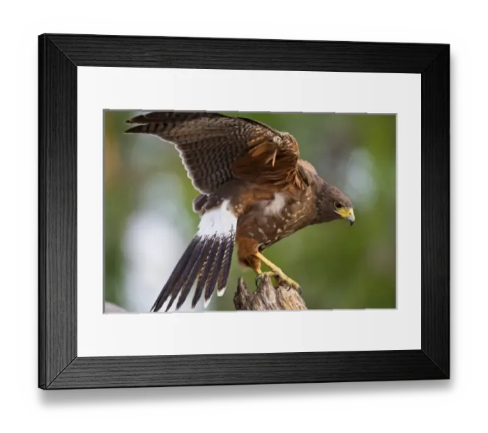 Framed Print : USA, North America, Texas Framed Print : USA, North America, Texas