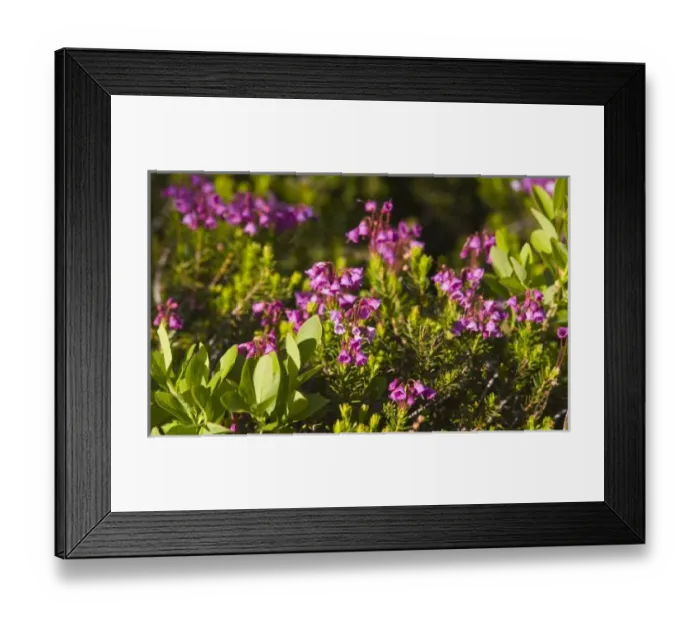 Framed Print : USA, North America, Washington Framed Print : USA, North America, Washington