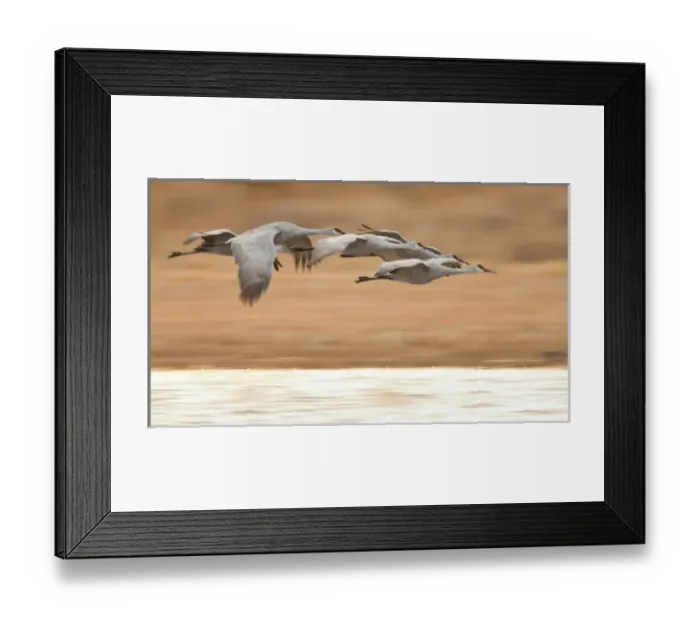 Framed Print : USA, North America, New Mexico