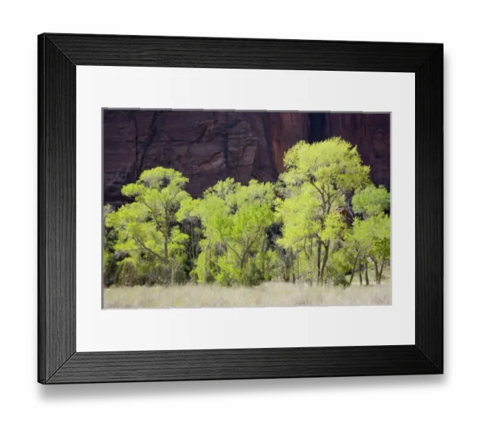 Framed Print : USA, North America, Utah