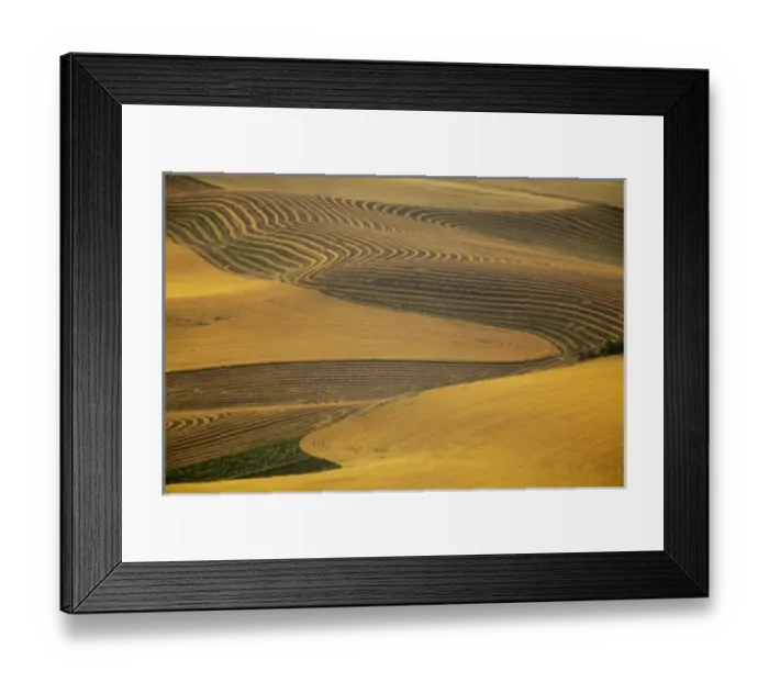 Framed Print : USA, North America, Washington Framed Print : USA, North America, Washington