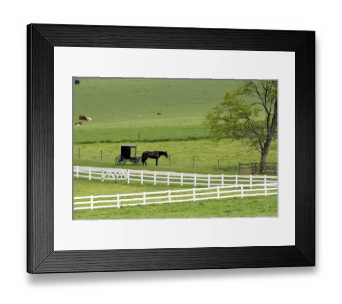 Framed Print : USA, North America, Ohio