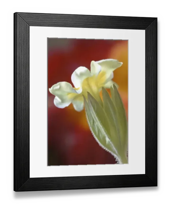 Framed Print : USA, North America, Pennsylvania Framed Print : USA, North America, Pennsylvania