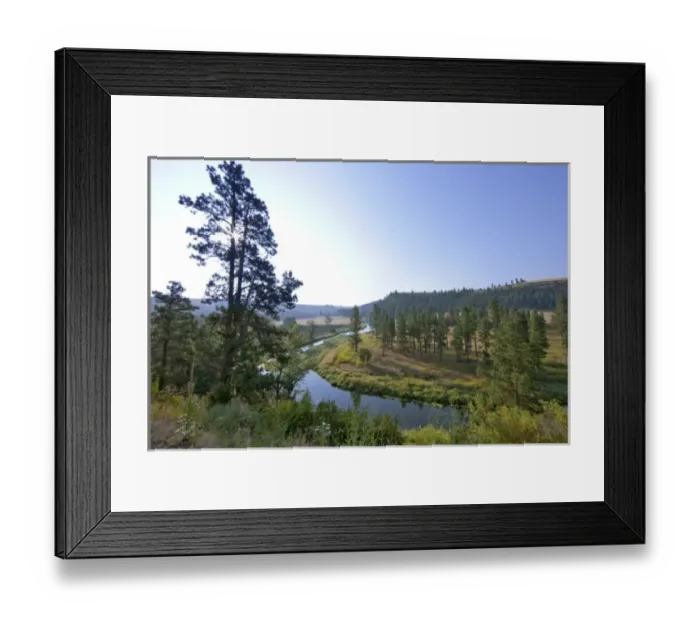 Framed Print : The Palouse River near Colfax, Washington Framed Print : The Palouse River near Colfax, Washington