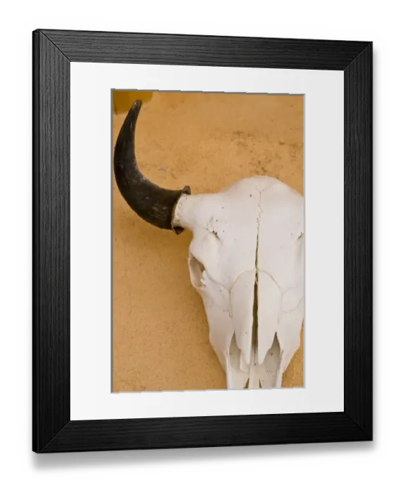 Framed Print : USA, North America, New Mexico Framed Print : USA, North America, New Mexico