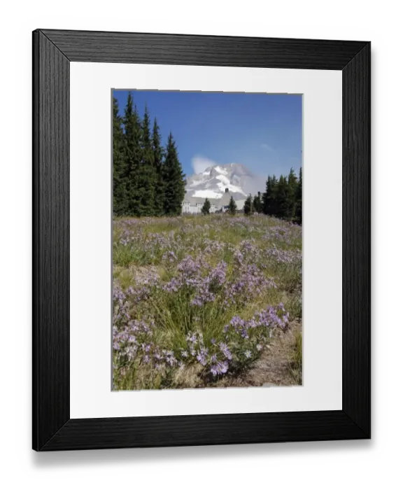 Framed Print : Oregon, Mt. Hood. Timberline Lodge and the snow-capped peak of Mt. Hood with summer Framed Print : Oregon, Mt. Hood. Timberline Lodge and the snow-capped peak of Mt. Hood with summer