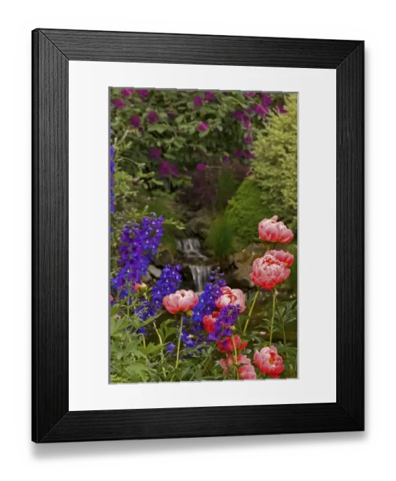 Framed Print : USA, Oregon, Salem. Flowers grow near brook at Schreiners Iris Garden Framed Print : USA, Oregon, Salem. Flowers grow near brook at Schreiners Iris Garden