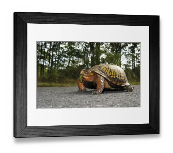 Framed Print : USA, North America, New Jersey Framed Print : USA, North America, New Jersey