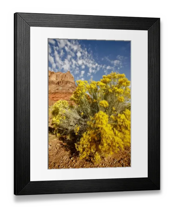 Framed Print : USA, North America, Utah Framed Print : USA, North America, Utah