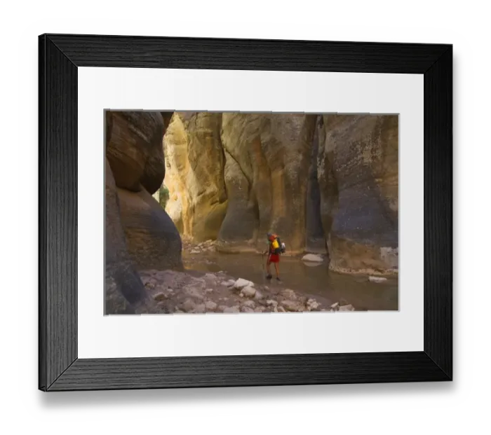 Framed Print : USA, Utah, Zion National Park. A female hiker in the Virgin River Narrows. (MR) Framed Print : USA, Utah, Zion National Park. A female hiker in the Virgin River Narrows. (MR)