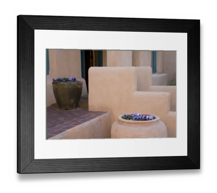 Framed Print : NM, New Mexico, Santa Fe, flower scene Framed Print : NM, New Mexico, Santa Fe, flower scene