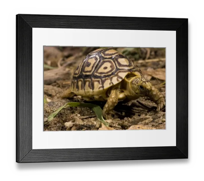 Framed Print : USA, North America, Pennsylvania Framed Print : USA, North America, Pennsylvania