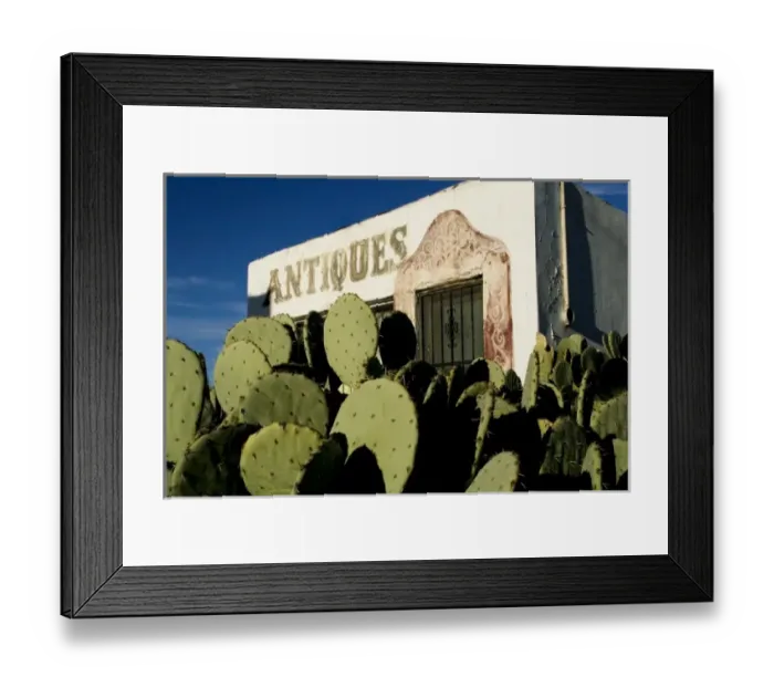 Framed Print : Mesilla, New Mexico, United States. Prickly pear cactus and antique shop Framed Print : Mesilla, New Mexico, United States. Prickly pear cactus and antique shop