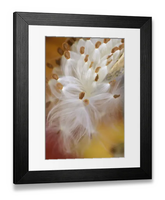 Framed Print : USA, North America, Pennsylvania Framed Print : USA, North America, Pennsylvania