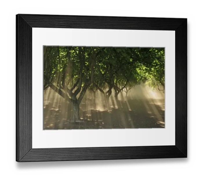 Framed Print : USA, North America, Oregon Framed Print : USA, North America, Oregon